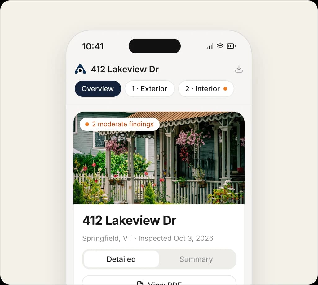 The client’s web report built from the template